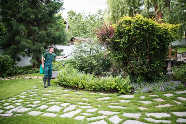 Best Residential Pest Control  in The Colony, TX