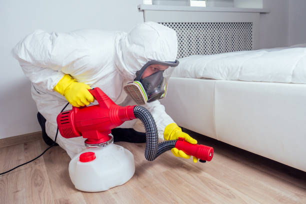 Best Pest Control Treatment  in The Colony, TX