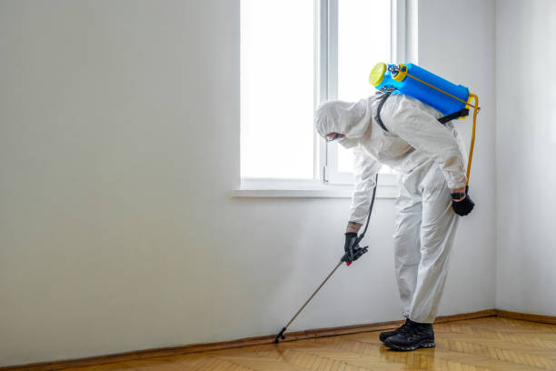 Best Pest Prevention Services  in The Colony, TX