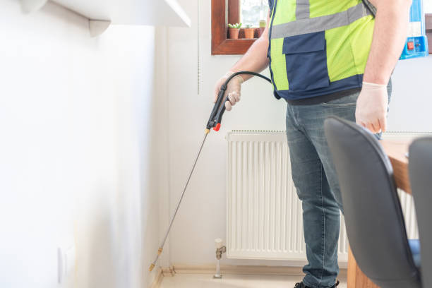 Wasp Removal Services in The Colony, TX
