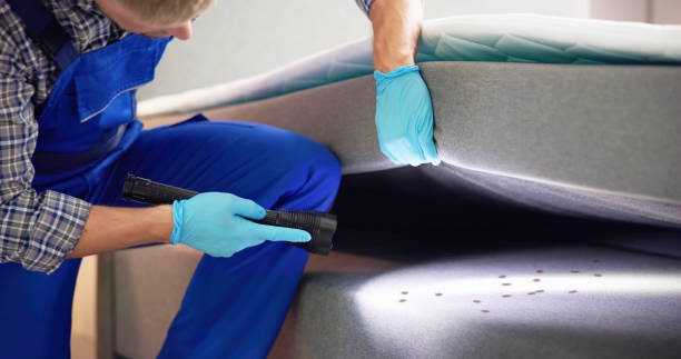 Best Affordable Pest Control Services  in The Colony, TX