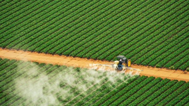 Insect Control in The Colony, TX