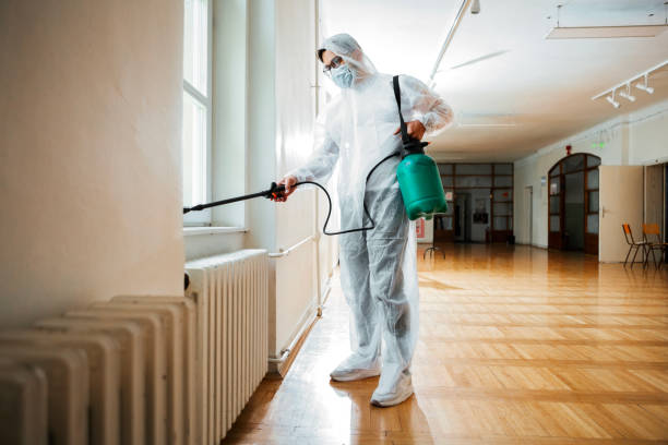 Trusted The Colony, TX Pest Control Experts
